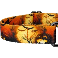 Country Brook Petz Midnight Fright Gunmetal Martingale Dog Collar (1 Inch, Large) -Pet Supplies Online GUEST 68a193e9 f4be 4d8d b65e 00417464f986