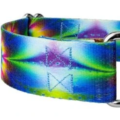 Country Brook Petz 2 Inch Tie Dye Flowers Martingale Dog Collar 9 Country Brook Petz 2 Inch Tie Dye Flowers Martingale Dog Collar -Pet Supplies Online GUEST 68d25920 a0e9 4dff aa6f 2c03c7f60940