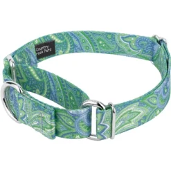 Country Brook Petz Green Paisley Martingale Collar And Leash -Pet Supplies Online GUEST 6931d2ad 7106 4d28 a982 b4cbfd0b0cfd