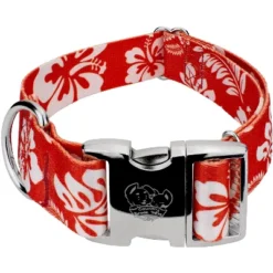 Country Brook Petz 1 1/2 Inch Premium Red Hawaiian Dog Collar -Pet Supplies Online GUEST 697ee6bc eb7b 4ed1 995b 00abb23cc46a