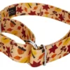 Country Brook Petz Fall Foliage Martingale Dog Collar -Pet Supplies Online GUEST 69b84209 15d6 490c b962 ca8f29b50ebe