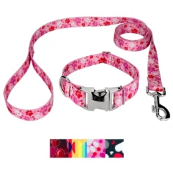 Country Brook Petz Premium Dog Collar And Leash - Affection Collection -Pet Supplies Online GUEST 69e797f0 b021 422d 8d43 42d76f602d7b