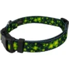 Country Brook Petz Clovers In The Wind Deluxe Dog Collar And Leash -Pet Supplies Online GUEST 6ac53f8e cc8d 42d5 b6dc ad47c80b8f0e 1