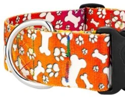 Country Brook Petz 1 1/2 Inch Deluxe Trippy Doggo Dog Collar -Pet Supplies Online GUEST 6b2117d1 8b6f 4663 80d8 534bc1a67283