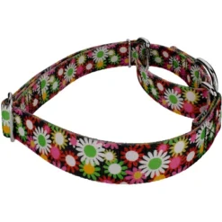 Country Brook Petz Daisy Fields Martingale Dog Collar 15 Country Brook Petz Daisy Fields Martingale Dog Collar -Pet Supplies Online GUEST 6b973097 bb66 42b5 ade8 7557c88b0e86