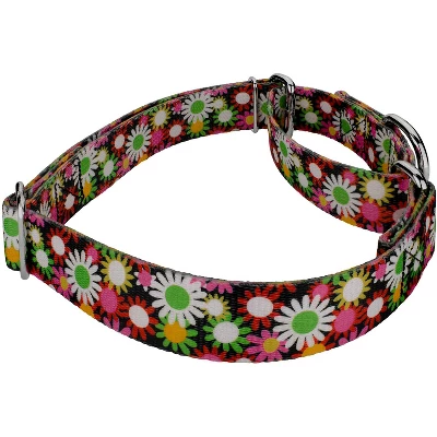 Country Brook Petz Daisy Fields Martingale Dog Collar 7 Country Brook Petz Daisy Fields Martingale Dog Collar - Image 5