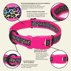 Country Brook Petz Deluxe Ribbon Dog Collar, Bright Spirits Collection -Pet Supplies Online GUEST 6c78d803 2895 4534 9fa0 79dd09ffea94