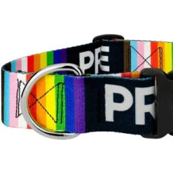 Country Brook Petz 1 1/2 Inch Deluxe Pride Dog Collar 10 Country Brook Petz 1 1/2 Inch Deluxe Pride Dog Collar -Pet Supplies Online GUEST 6cd8ec8b 14c5 4350 9916 a25ba3cbda58
