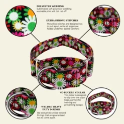 Country Brook Petz HossFit Jr Wide Martingale Dog Collar - Floral Collection -Pet Supplies Online GUEST 6cdf37db e8bd 4a7b 9475 90f71164b0a1