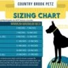 Country Brook Petz Just Ducky Martingale Dog Collar -Pet Supplies Online GUEST 6d1a6f34 10c0 4d49 a574 ab55988d2cfa 1