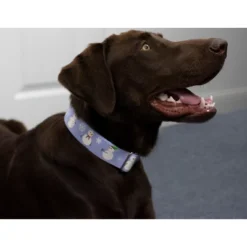 Country Brook Petz Snowman Martingale Dog Collar -Pet Supplies Online GUEST 6d1bd9c7 1a2d 483d 9147 33c62737c49b