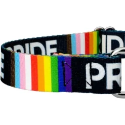 Country Brook Petz Pride Martingale Dog Collar 13 Country Brook Petz Pride Martingale Dog Collar -Pet Supplies Online GUEST 6d683e98 919c 4daf a9a7 aeaf38aa3a38