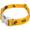 Country Brook Petz Premium Busy Bee Dog Collar