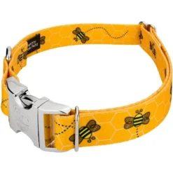 Country Brook Petz Premium Busy Bee Dog Collar