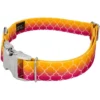 Country Brook Petz Premium Fabulous Ombre Dog Collar -Pet Supplies Online GUEST 6f11253a 4399 4ac0 b8cc 98335af91d7b