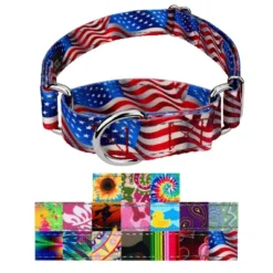 Country Brook Petz HossFit Jr Wide Reflective Martingale Dog Collar Collection Featuring Night Safe Designs -Pet Supplies Online GUEST 6fe73197 c53e 41a4 8cb9 42f802c4a2e6