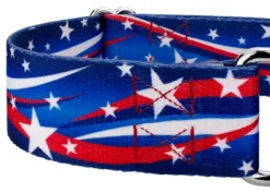 Country Brook Petz 1 1/2 Inch Star Spangled Martingale Dog Collar -Pet Supplies Online GUEST 70189b0b 211f 4b6f a95d c49d61ffccb8