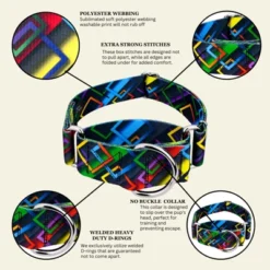 Country Brook Petz HossFit Jr Wide Martingale Dog Collar - Abstract Collection -Pet Supplies Online GUEST 70a386d1 6c47 41f9 97c6 c1511b9399b6