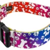 Country Brook Petz 1 1/2 Inch Deluxe Trippy Doggo Dog Collar 2 Country Brook Petz 1 1/2 Inch Deluxe Trippy Doggo Dog Collar -Pet Supplies Online GUEST 7164f746 324c 4e29 a777 655b80031d69