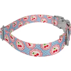 Country Brook Petz Premium Cherry On Top Dog Collar Limited Edition -Pet Supplies Online GUEST 718a77f5 5495 45b0 9efd 62b6a136cdd5