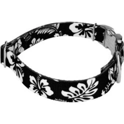 Country Brook Petz Premium Dog Collar And Leash - Summer Breeze Collection -Pet Supplies Online GUEST 71fe4bbd 8ef3 400d b3f0 fa1b2fd956a9