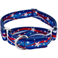 Country Brook Petz - Star Spangled Martingale Dog Collar -Pet Supplies Online GUEST 72430508 3125 4031 bd9c 23397eedaade