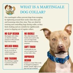 Country Brook Petz HossFit Jr Wide Martingale Dog Collar - Paisley Collection 16 Country Brook Petz HossFit Jr Wide Martingale Dog Collar - Paisley Collection -Pet Supplies Online GUEST 727f4dcb d607 494e b001 69453ac3085b