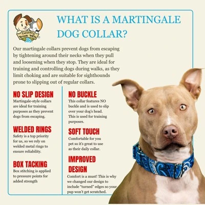 Country Brook Petz HossFit Jr Wide Martingale Dog Collar - Paisley Collection 7 Country Brook Petz HossFit Jr Wide Martingale Dog Collar - Paisley Collection - Image 5