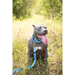 Country Brook Petz Blue Bone Camo Martingale Dog Collar And Leash