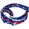 Country Brook Petz - Star Spangled Martingale Dog Collar -Pet Supplies Online GUEST 73540020 c3a9 4a9d 997e b960d9e78174