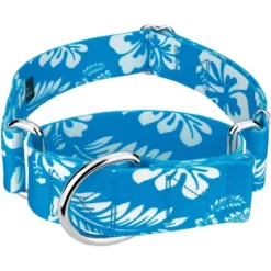 Country Brook Petz 1 1/2 Inch Blue Hawaiian Martingale Dog Collar -Pet Supplies Online GUEST 7376ee85 24c1 46f6 9efe 19a12a7d7023