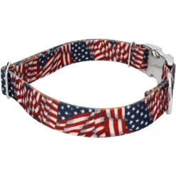 Country Brook Petz Premium Patriotic Tribute Collar And Leash 12 Country Brook Petz Premium Patriotic Tribute Collar And Leash -Pet Supplies Online GUEST 73c3c35e 33f4 4a3c b87c 3c07bde62d6b 1