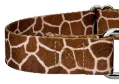 Country Brook Petz Giraffe Martingale Dog Collar -Pet Supplies Online GUEST 75241b84 6785 44c9 9d4a c803f5ab74f4