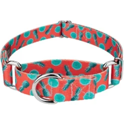 Country Brook Petz Tropical Tango Martingale Dog Collar (1/2 Inch, Extra Small) -Pet Supplies Online GUEST 75d52ca6 17a4 45e1 bb68 6c292740c19e 1
