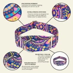 Country Brook Petz HossFit Jr Wide Martingale Dog Collar - Groovy Collection 14 Country Brook Petz HossFit Jr Wide Martingale Dog Collar - Groovy Collection -Pet Supplies Online GUEST 764ff7b1 8728 41e8 b486 86ecc1431ab7