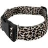 Country Brook Petz HossFit Jr Wide Deluxe Dog Collar - Animal Print Collection