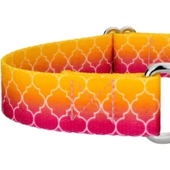 Country Brook Petz Fabulous Ombre Martingale Dog Collar -Pet Supplies Online GUEST 770efbaa 9b39 4d0d 9af7 3c662635f9da 1