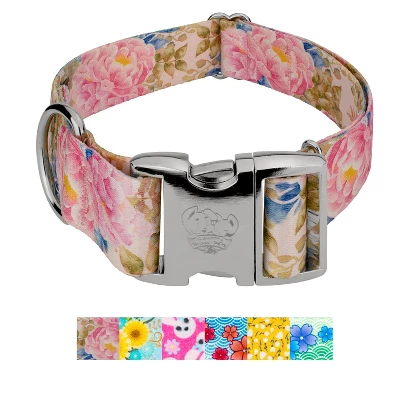 Country Brook Petz HossFit Jr Wide Premium Dog Collar - Spring Collection 11 Country Brook Petz HossFit Jr Wide Premium Dog Collar - Spring Collection - Image 9