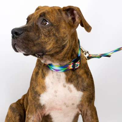 Country Brook Petz Tie Dye Flowers Deluxe Dog Collar And Leash 3 Country Brook Petz Tie Dye Flowers Deluxe Dog Collar And Leash