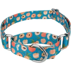 Country Brook Petz Peaches Martingale Dog Collar -Pet Supplies Online GUEST 78ef82a5 74a2 46f9 a9d3 07e6c57c52f9