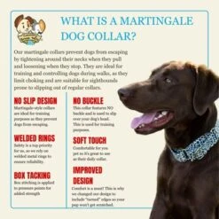 Country Brook Petz HossFit Jr Wide Martingale Dog Collar - Animal Print Collection 15 Country Brook Petz HossFit Jr Wide Martingale Dog Collar - Animal Print Collection -Pet Supplies Online GUEST 790c6c8d 20d3 4f92 886f f3e33753801f