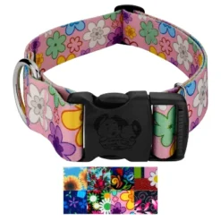 Country Brook Petz HossFit Jr Wide Deluxe Dog Collar - Floral Collection -Pet Supplies Online GUEST 7976ef24 1099 40ac a55e 2f1b568128e6