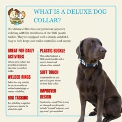 Country Brook Petz Deluxe Dog Collar - Christmas Collection - Made In The U.S.A. -Pet Supplies Online GUEST 79b00f18 e172 419f 946d 447ae5eb4caf