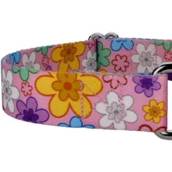 Country Brook Petz May Flowers Martingale Dog Collar -Pet Supplies Online GUEST 7a2f3038 cef9 4d61 bca8 e8434c1dc3f7