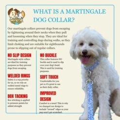 Country Brook Petz HossFit Jr Wide Martingale Dog Collar - Abstract Collection -Pet Supplies Online GUEST 7aaaecff 4158 4e53 bd17 ea3f777c761c