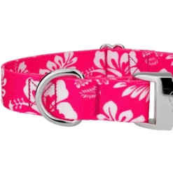 Country Brook Petz Premium Pink Hawaiian Dog Collar And Leash -Pet Supplies Online GUEST 7adfcb4d 35b3 4580 ab50 be4b64ae48b8