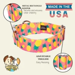 Country Brook Petz HossFit Jr Wide Premium Dog Collar - Tasty Collection -Pet Supplies Online GUEST 7af07605 0132 47f3 af98 5f644b00c459