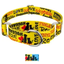 Country Brook Petz Martingale Dog Collar - Rescue Collections -Pet Supplies Online GUEST 7af10cd1 101b 401b a17d ac54a1b7587f