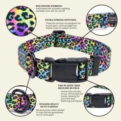 Country Brook Petz Deluxe Electric Leopard Dog Collar - Made In The U.S.A. (1 Inch, Medium) -Pet Supplies Online GUEST 7c445314 809a 48f1 9b0e d487f6391553 3