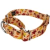 Country Brook Petz Fall Foliage Martingale Dog Collar And Leash